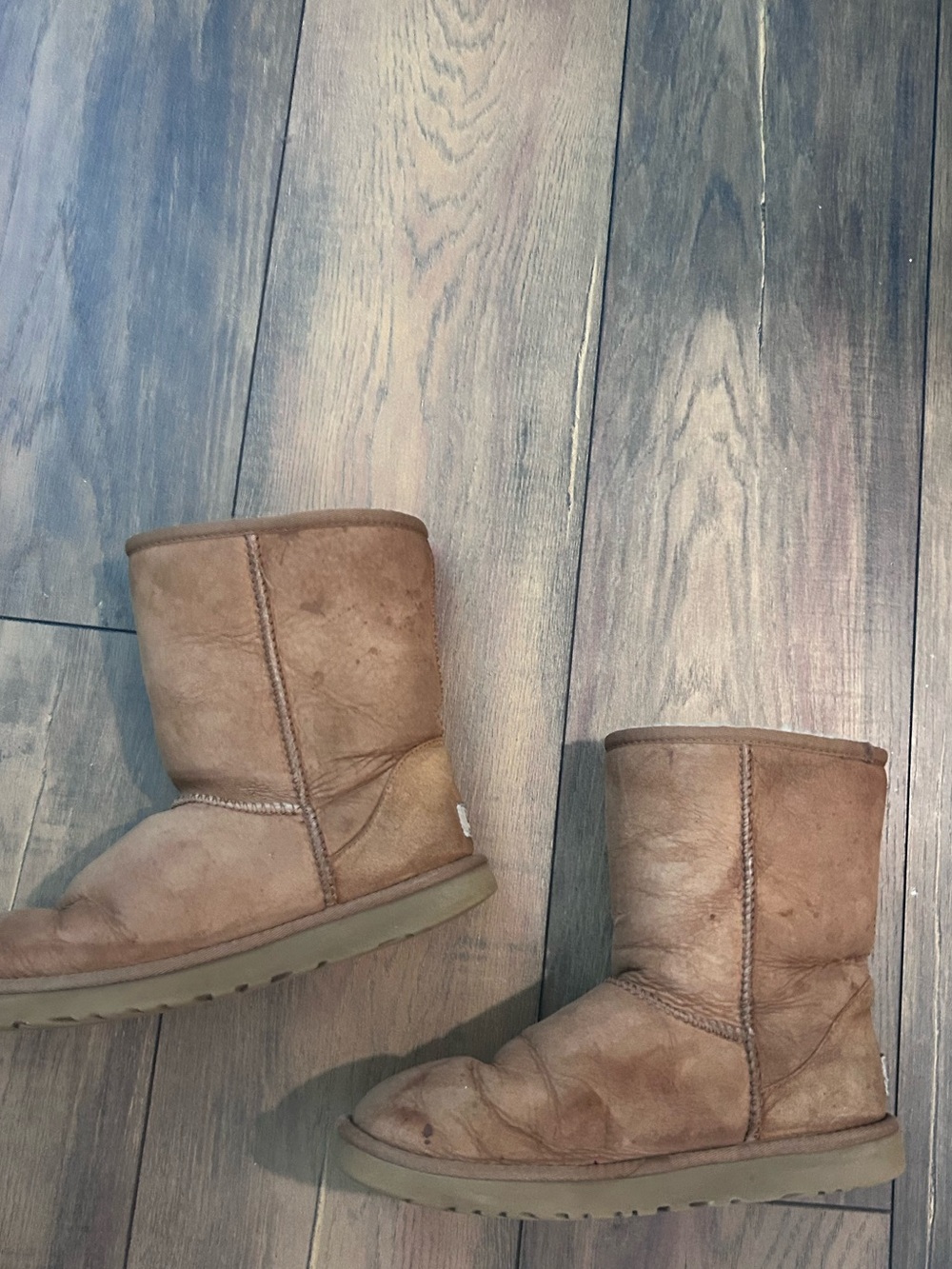 UGG Classic Short Boots in Chestnut Brown